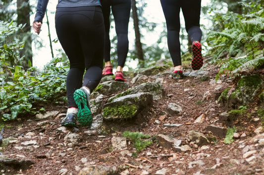 Hikers walking through the forest